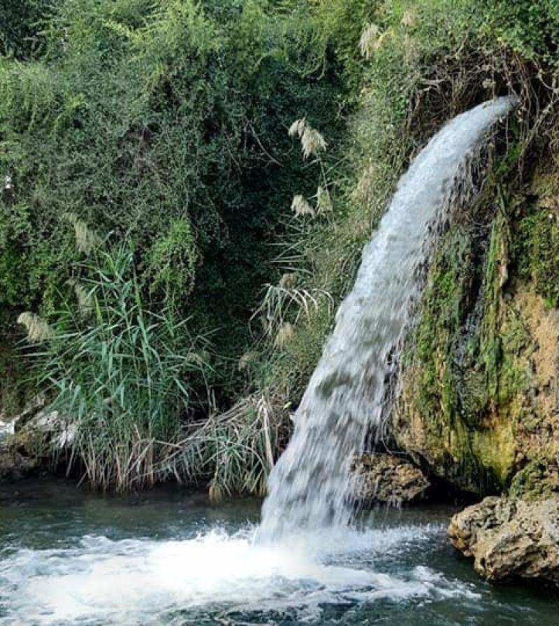 הפתעה באמצע הכנרת: המפל הנסתר בעין איוב